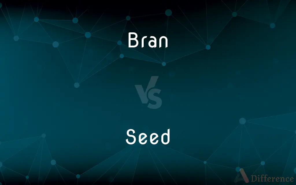 Bran vs. Seed — What's the Difference?