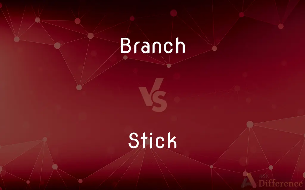 Branch vs. Stick — What's the Difference?