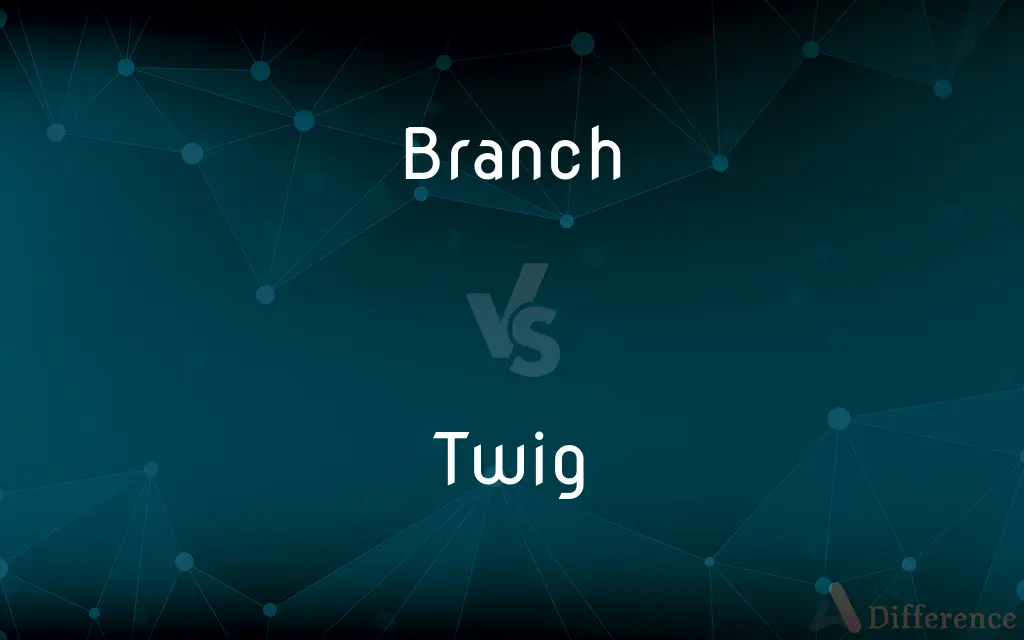 Branch vs. Twig — What's the Difference?