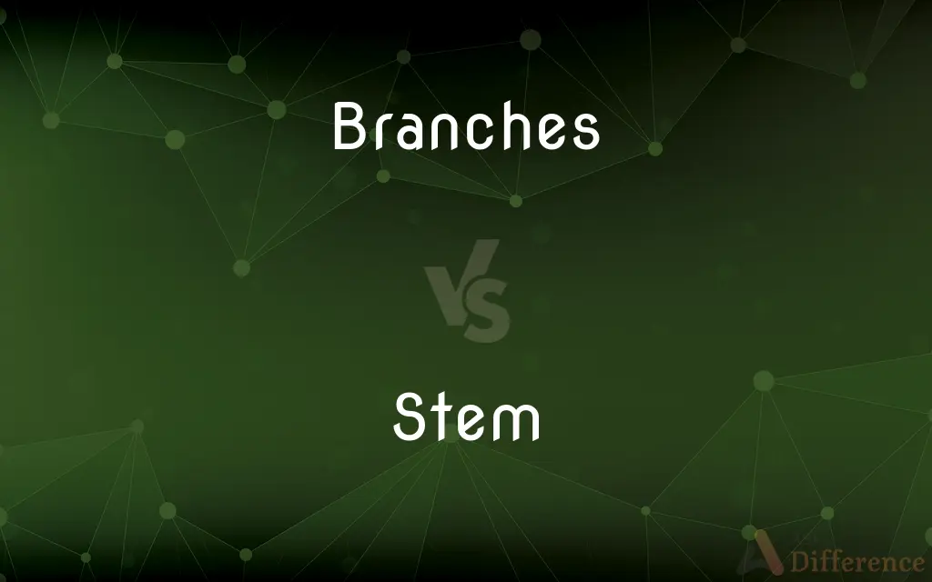 Branches vs. Stem — What's the Difference?