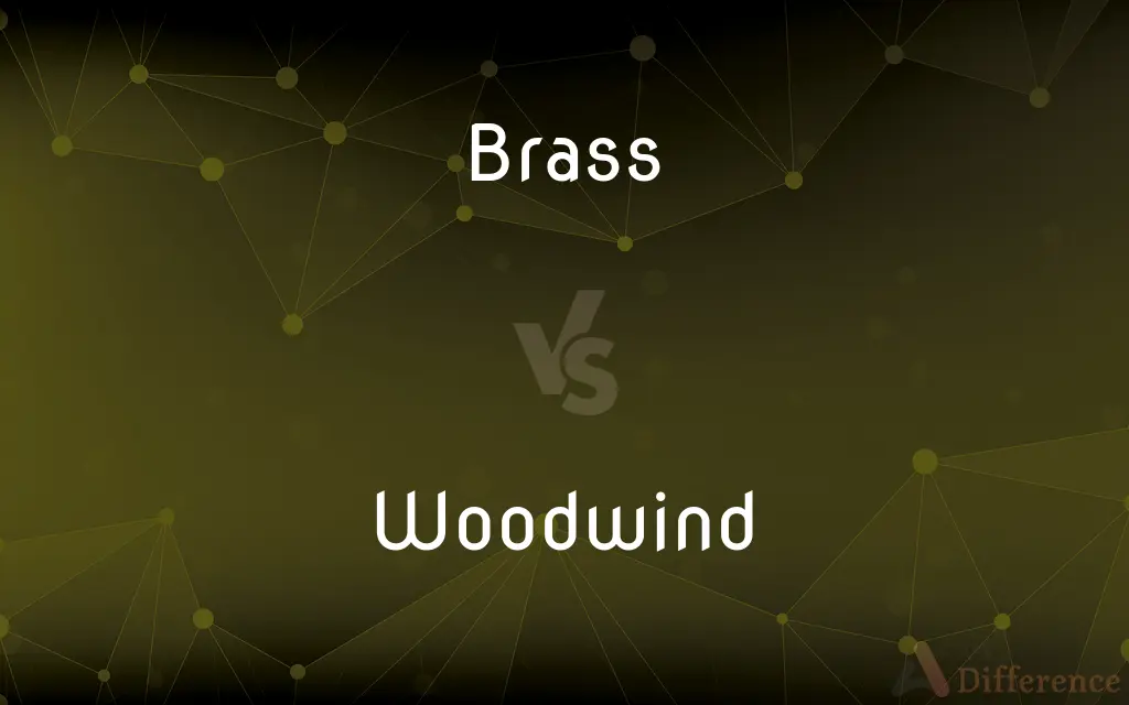 Brass vs. Woodwind — What's the Difference?