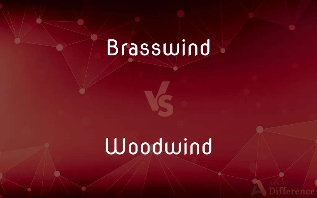 Brasswind vs. Woodwind — What's the Difference?