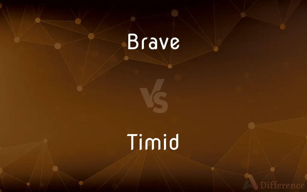 Brave vs. Timid — What's the Difference?