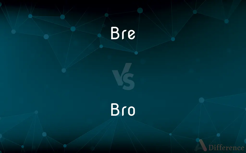 Bre vs. Bro — What's the Difference?