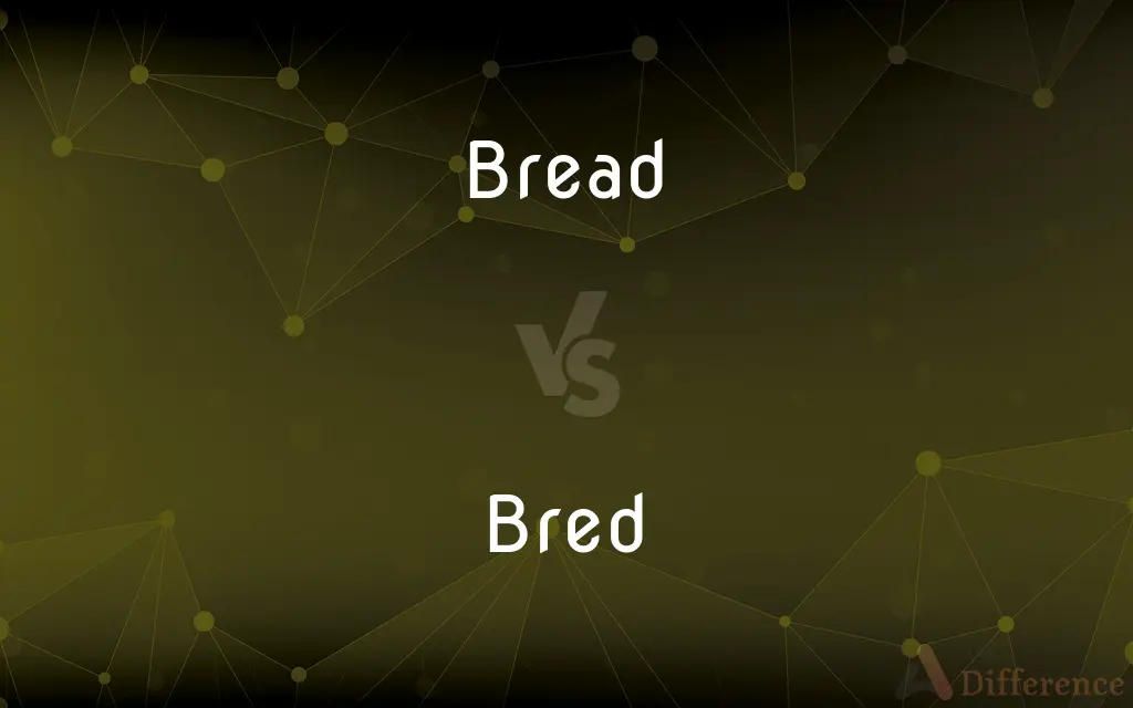 Bread vs. Bred — What's the Difference?