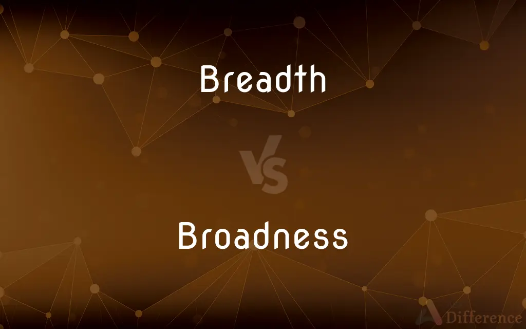 Breadth vs. Broadness — What's the Difference?