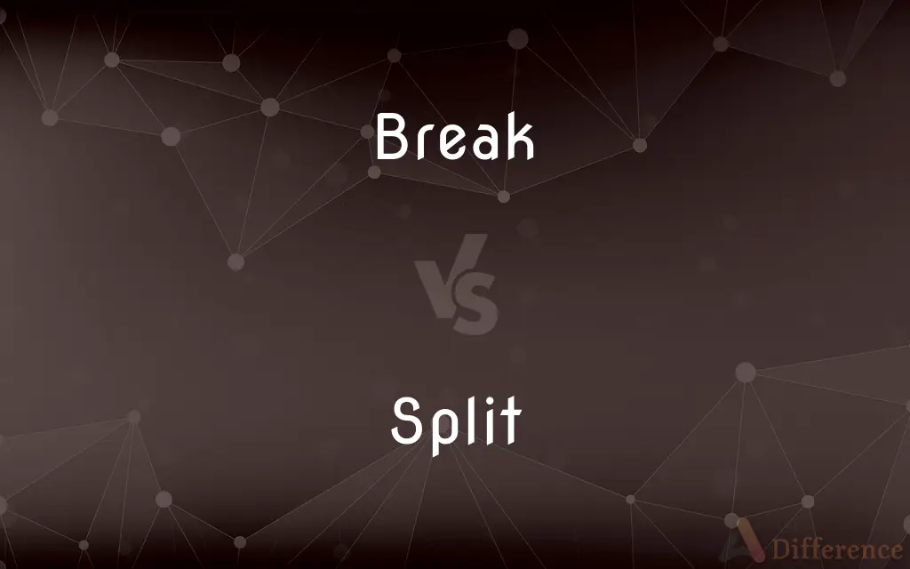 Break vs. Split — What's the Difference?