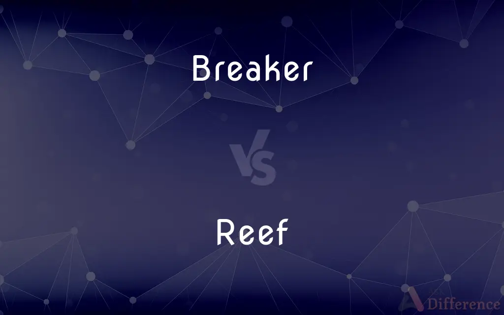 Breaker vs. Reef — What's the Difference?