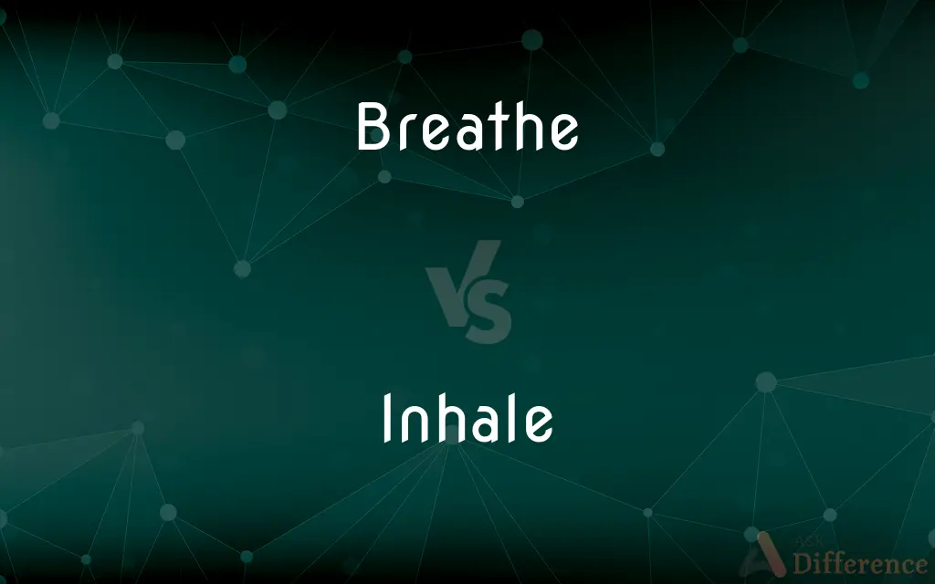 Breathe vs. Inhale — What's the Difference?