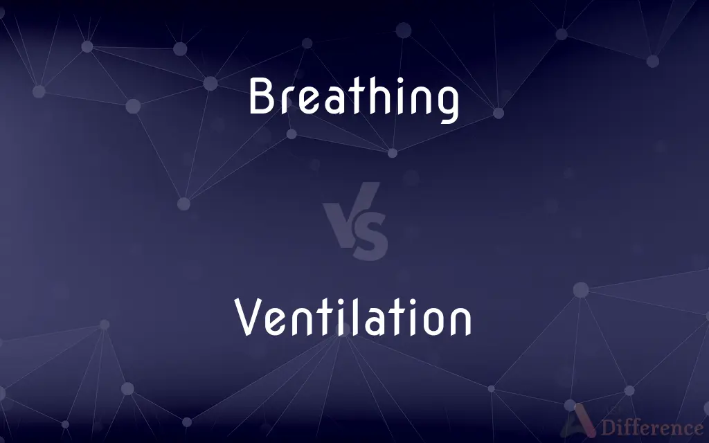 Breathing vs. Ventilation — What's the Difference?