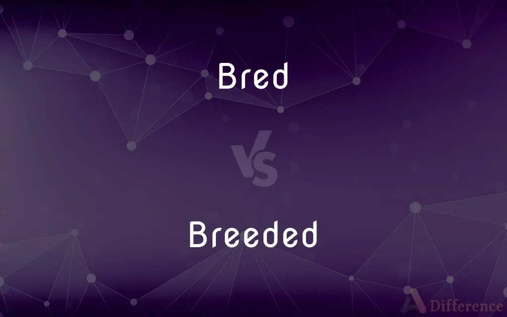 Bred vs. Breeded — Which is Correct Spelling?