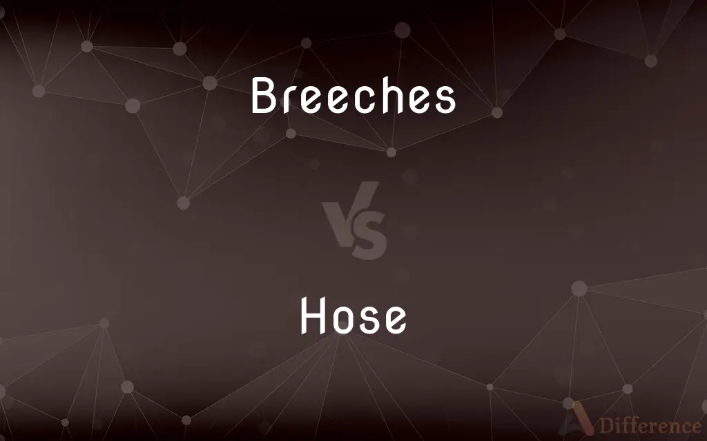 Breeches vs. Hose — What's the Difference?
