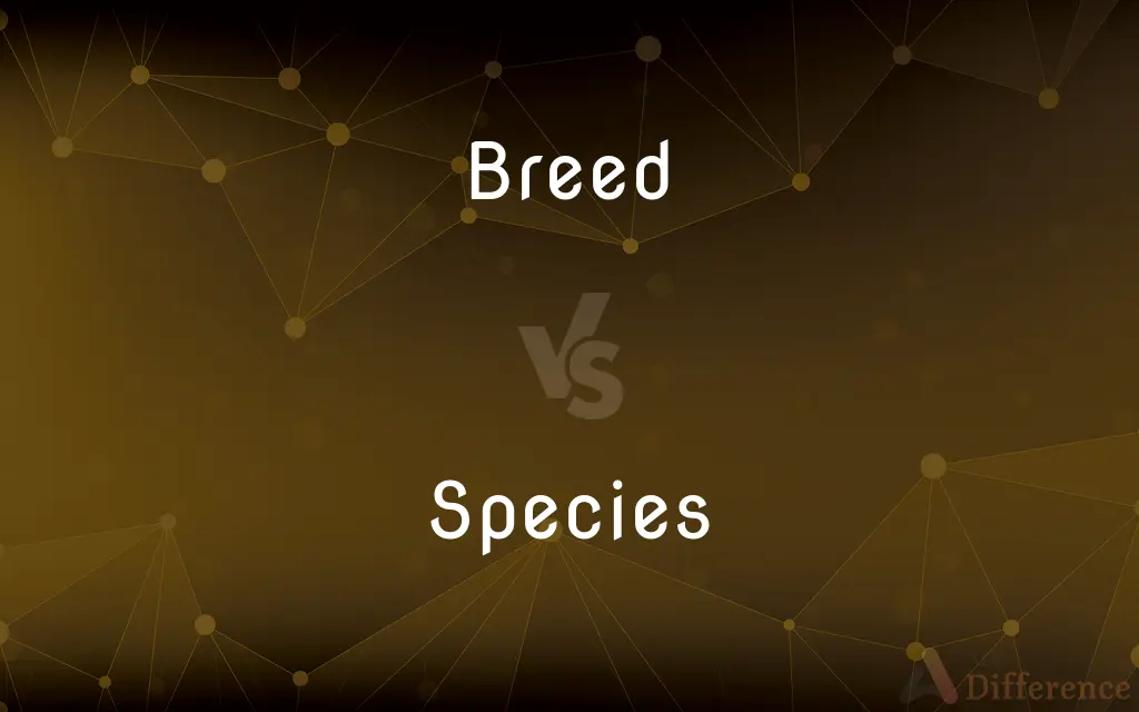 Breed vs. Species — What's the Difference?