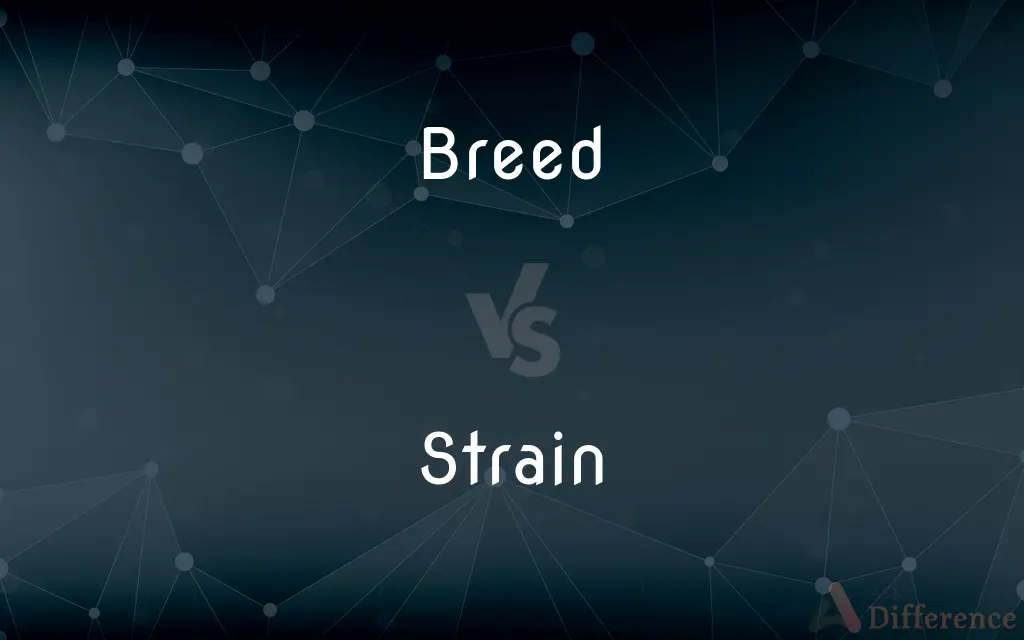 Breed vs. Strain — What's the Difference?