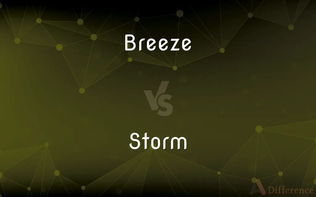 Breeze vs. Storm — What's the Difference?