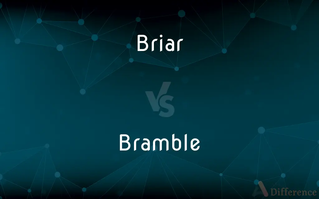 Briar vs. Bramble — What's the Difference?