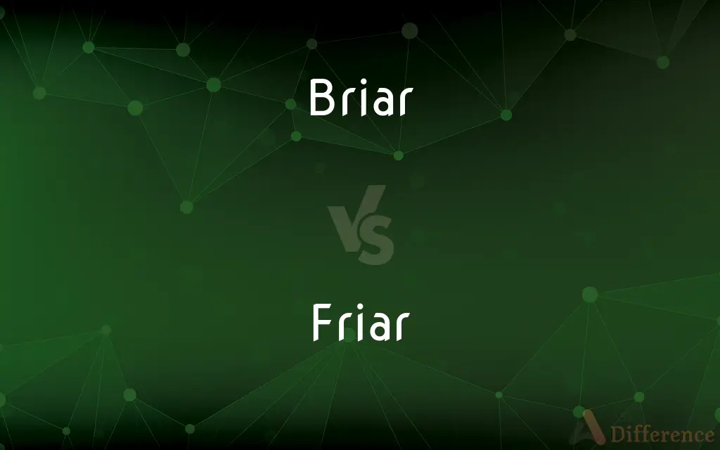 Briar vs. Friar — What's the Difference?