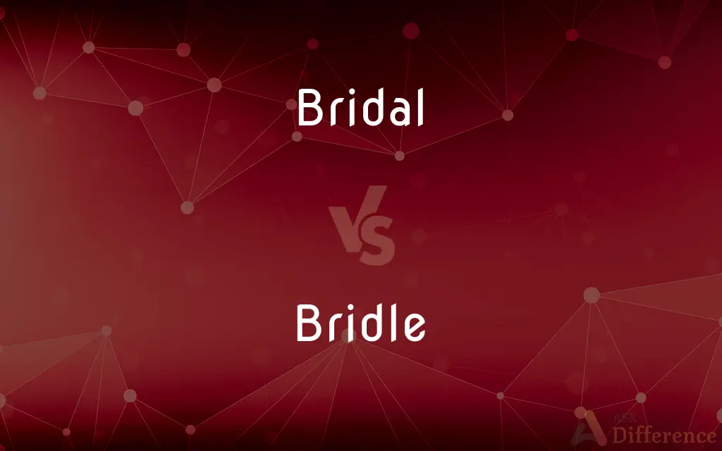 Bridal vs. Bridle — What's the Difference?