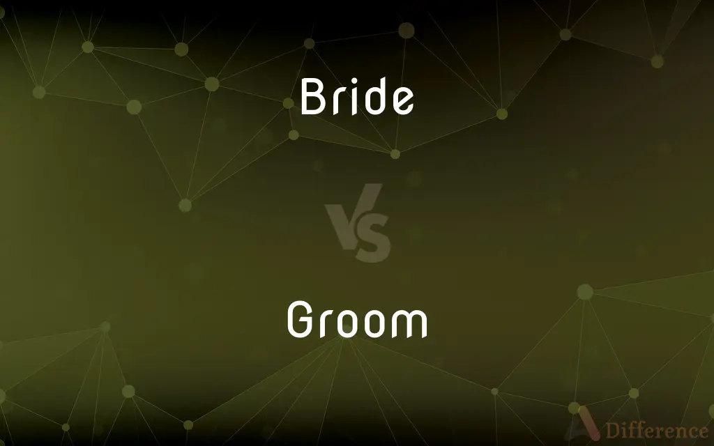 Bride vs. Groom — What's the Difference?