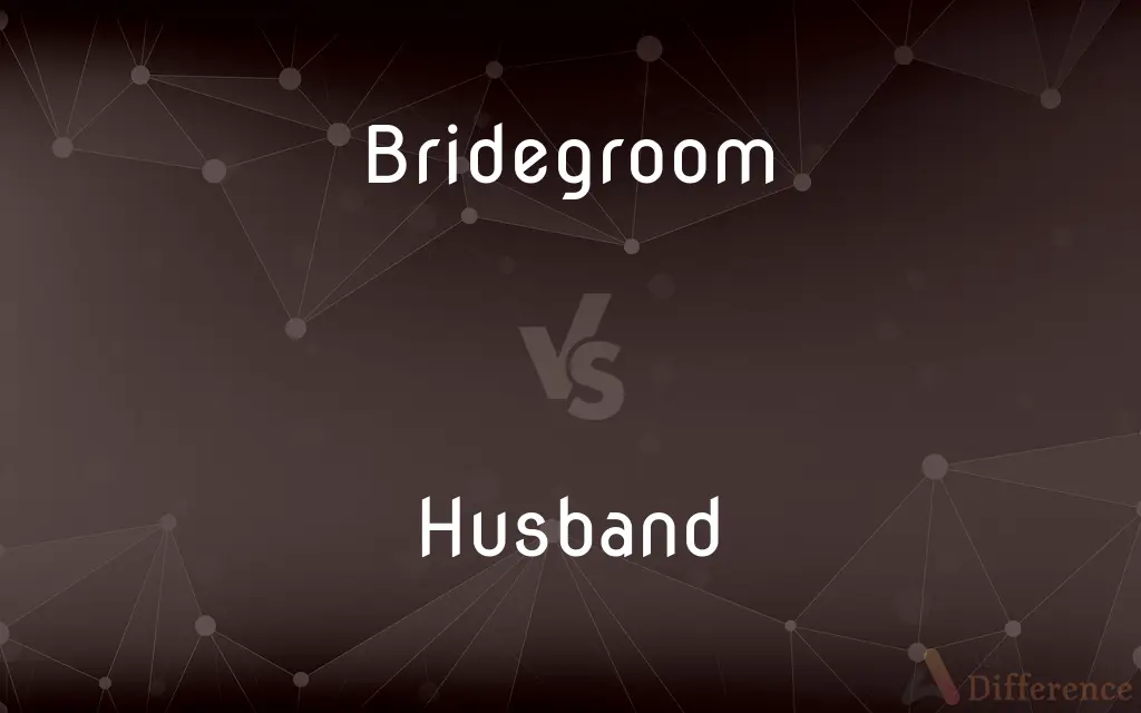 Bridegroom vs. Husband — What's the Difference?