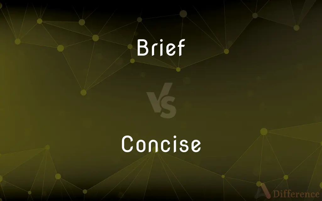 Brief vs. Concise — What's the Difference?