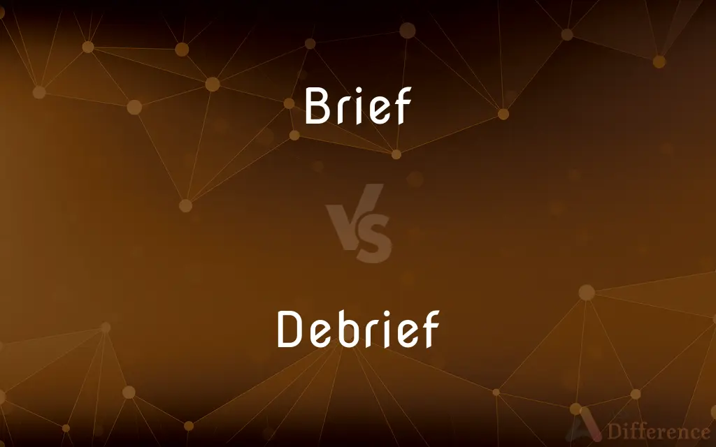 Brief vs. Debrief — What's the Difference?