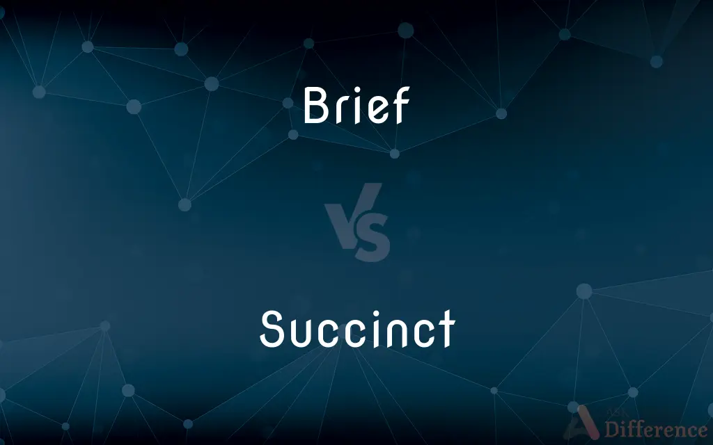 Brief vs. Succinct — What's the Difference?