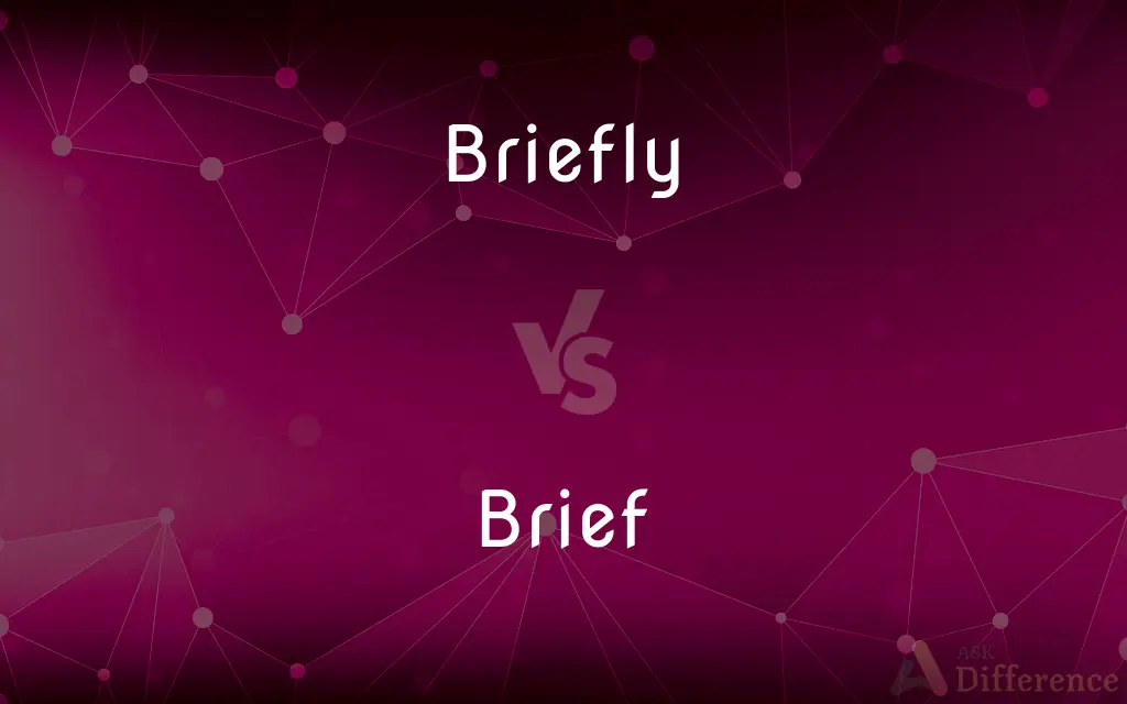 Briefly vs. Brief — What's the Difference?