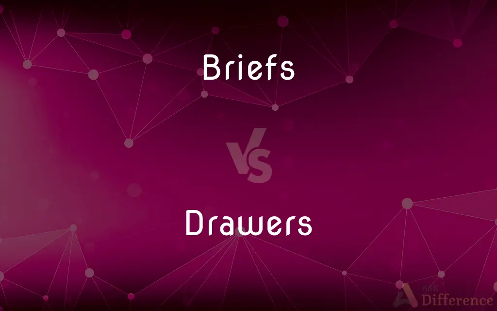 Briefs vs. Drawers — What's the Difference?