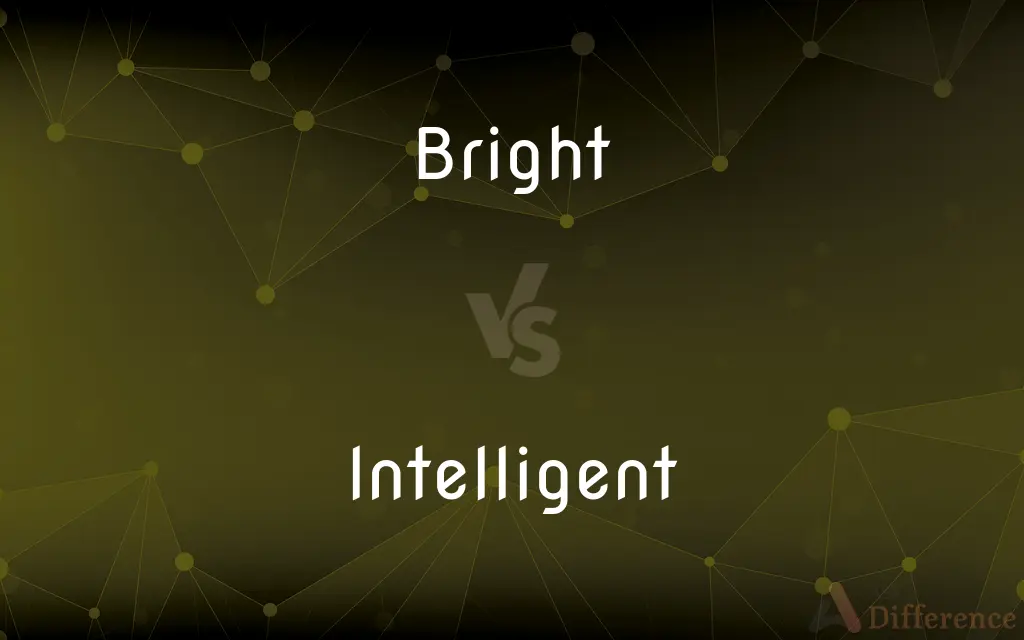 Bright vs. Intelligent — What's the Difference?