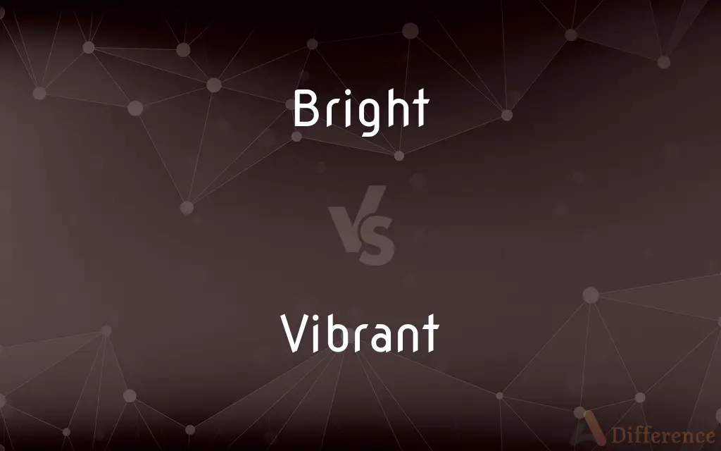 Bright vs. Vibrant — What's the Difference?