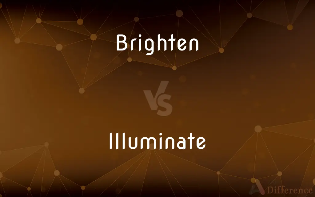 Brighten vs. Illuminate — What's the Difference?