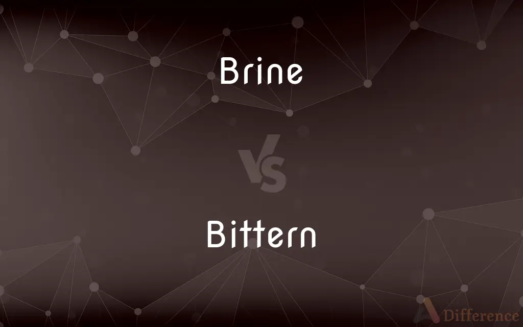 Brine vs. Bittern — What's the Difference?