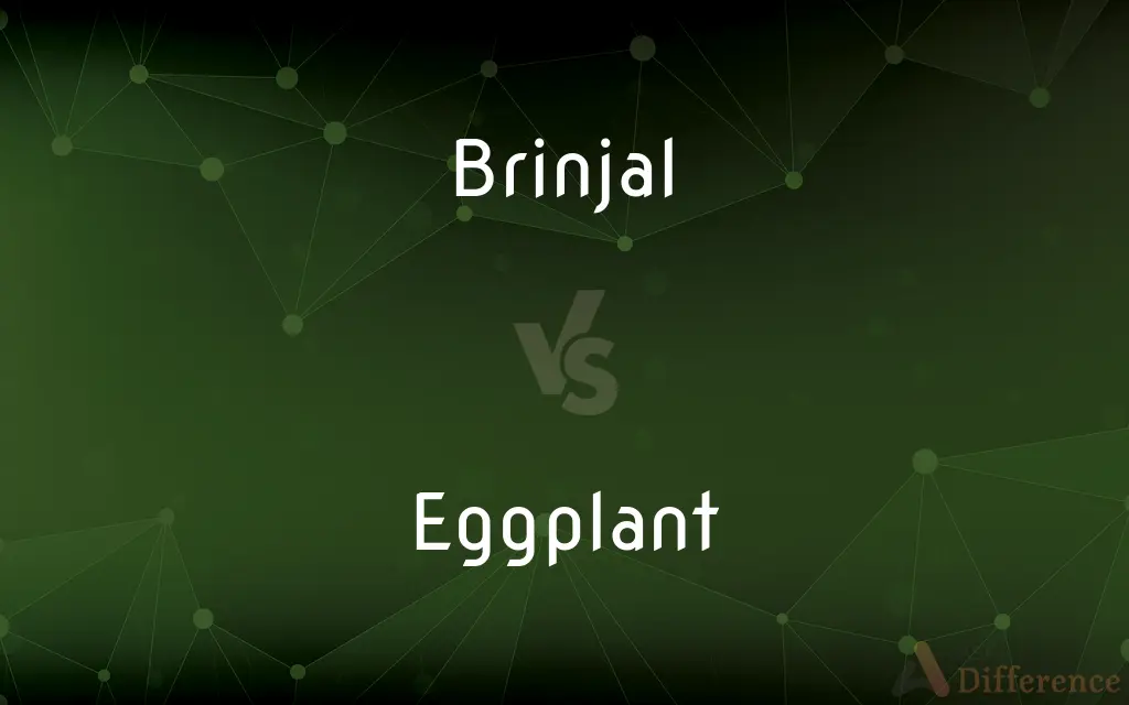 Brinjal vs. Eggplant — What's the Difference?