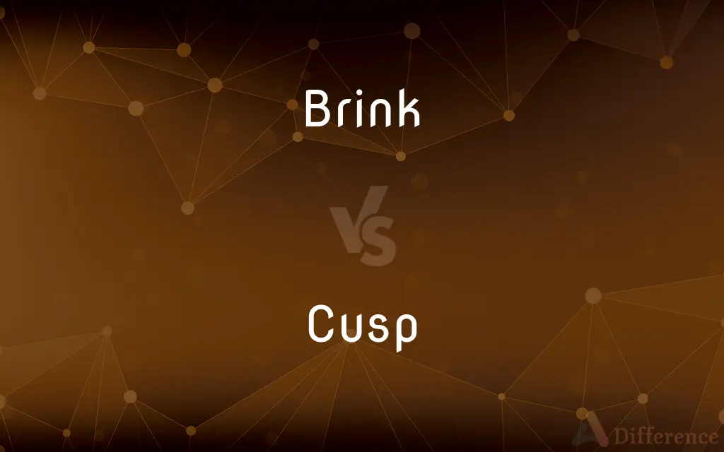 Brink vs. Cusp — What's the Difference?