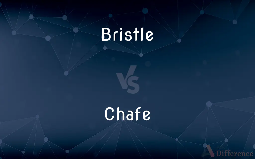 Bristle vs. Chafe — What's the Difference?
