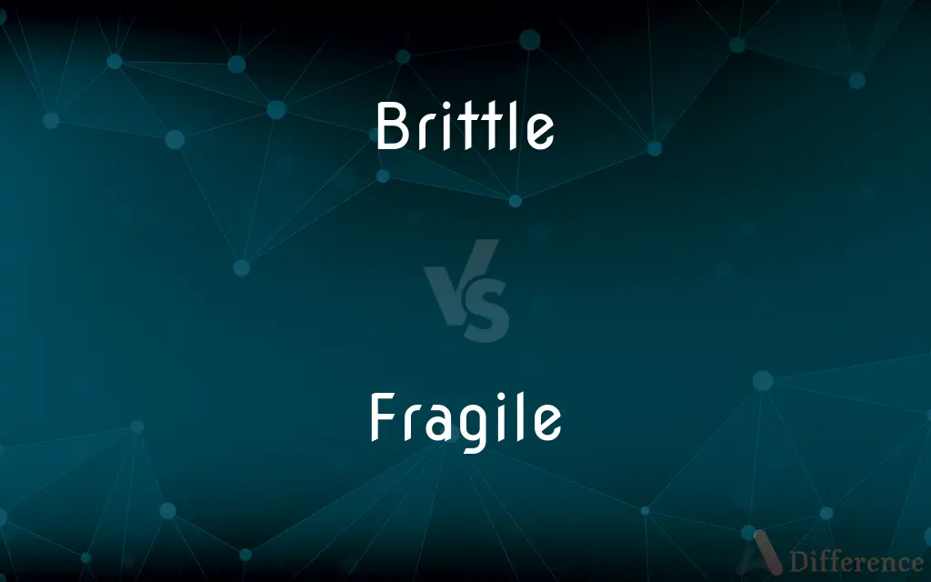 Brittle vs. Fragile — What's the Difference?