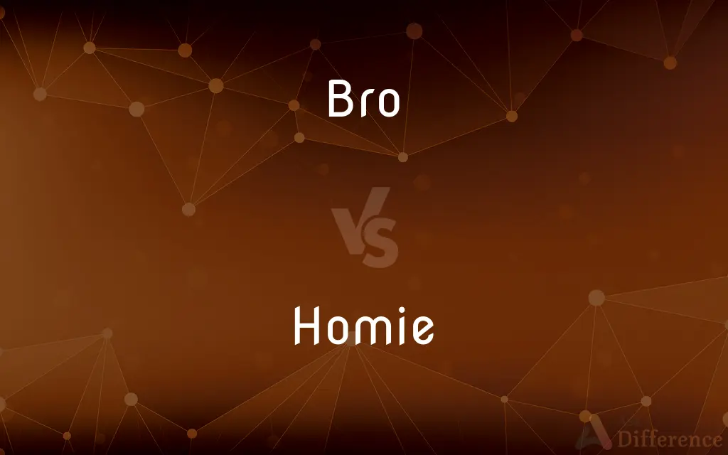 Bro vs. Homie — What's the Difference?