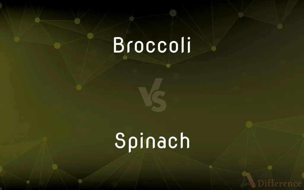 Broccoli vs. Spinach — What's the Difference?