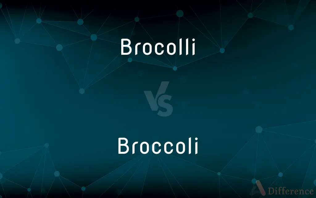 Brocolli vs. Broccoli — Which is Correct Spelling?