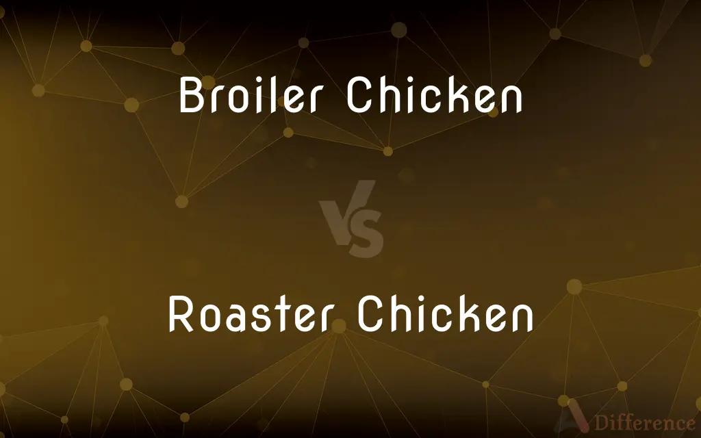 Broiler Chicken vs. Roaster Chicken — What's the Difference?
