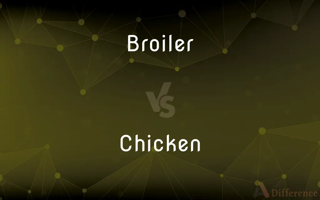 Broiler vs. Chicken — What's the Difference?
