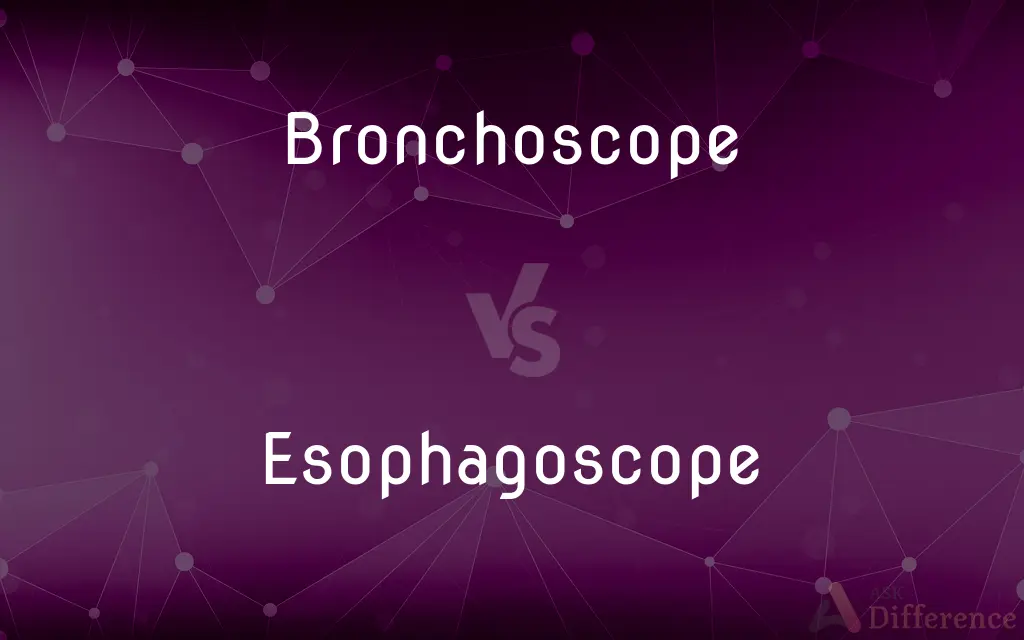Bronchoscope vs. Esophagoscope — What's the Difference?