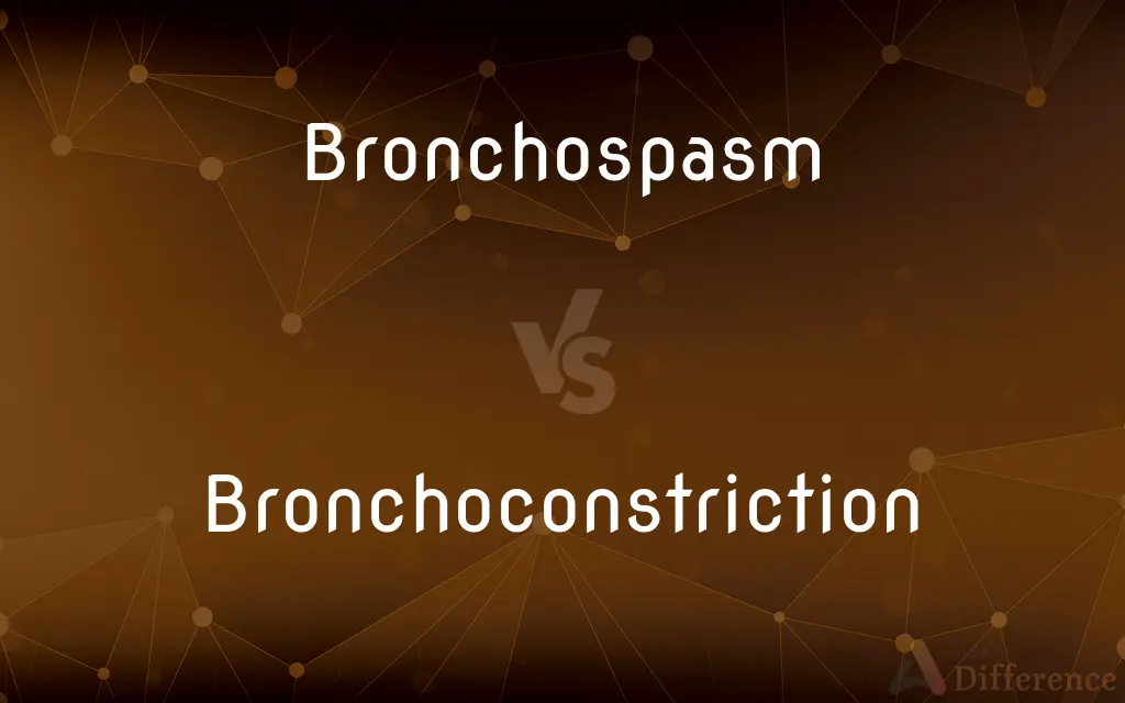 Bronchospasm vs. Bronchoconstriction — What's the Difference?