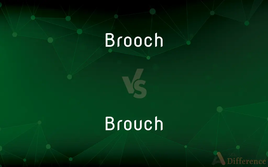 Brooch vs. Brouch — Which is Correct Spelling?