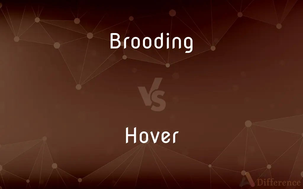 Brooding vs. Hover — What's the Difference?