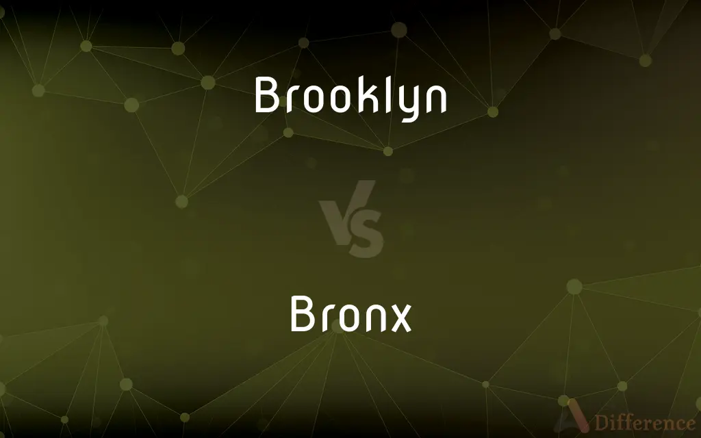 Brooklyn vs. Bronx — What's the Difference?