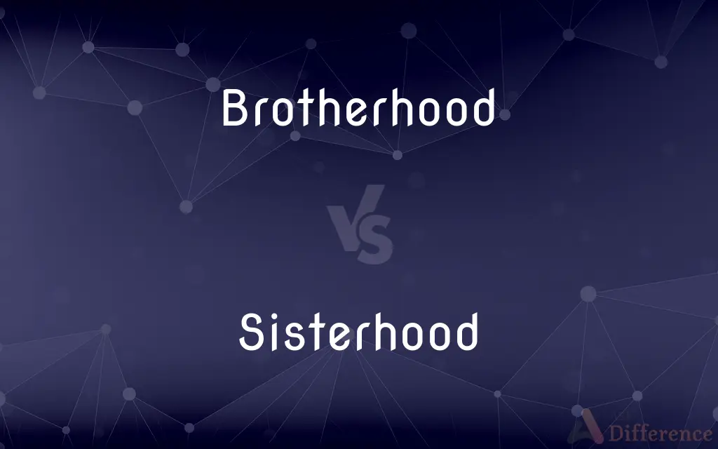 Brotherhood vs. Sisterhood — What's the Difference?