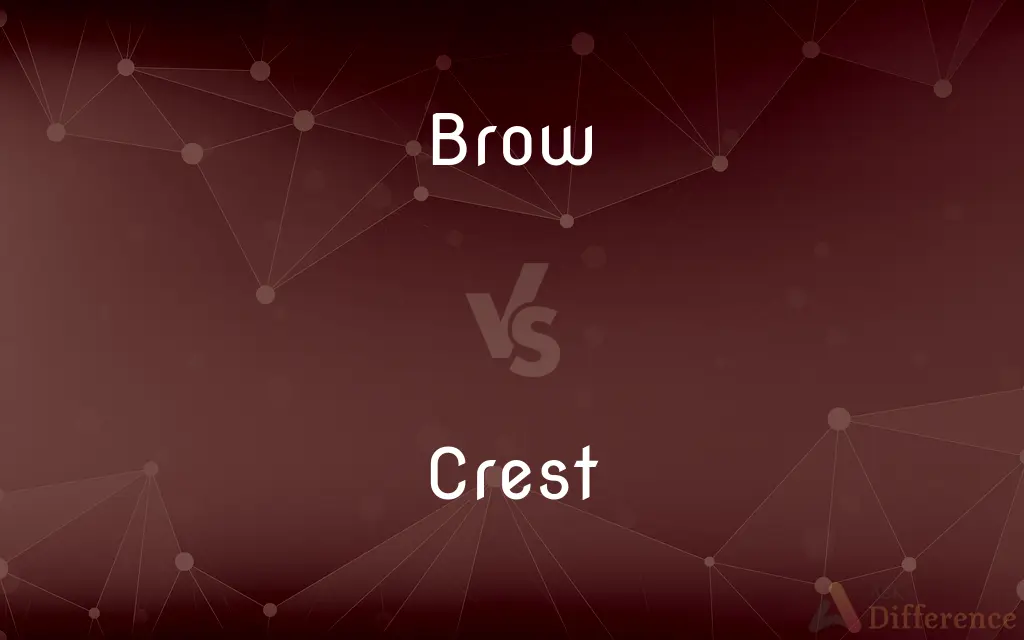 Brow vs. Crest — What's the Difference?