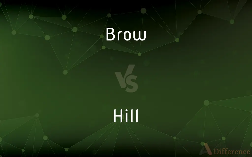 Brow vs. Hill — What's the Difference?